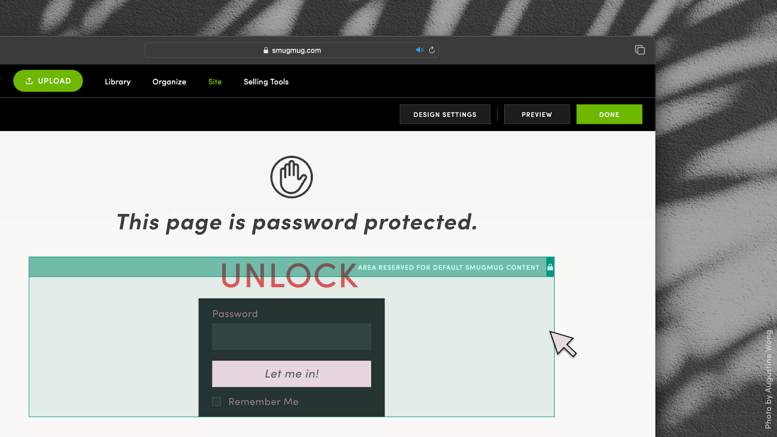 Sample of SmugMug's customizer showing a password-protection block.